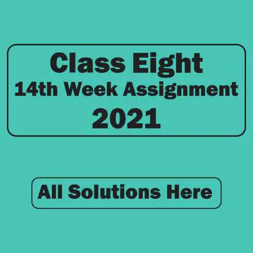 class eight 14th week